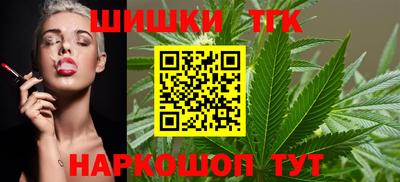 Альфа ПВП Гатчина