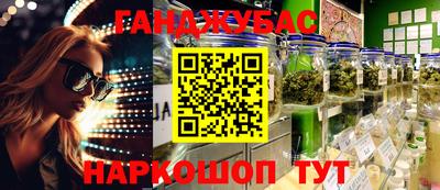 Альфа ПВП Гатчина