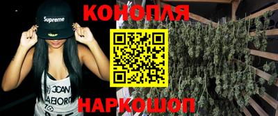 дживик Гай