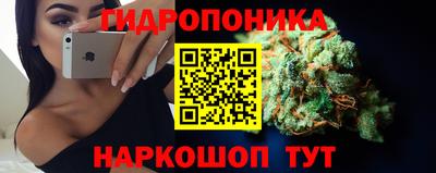 Альфа ПВП Гатчина